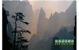 張家界國家森林公園、寶峰湖/黃龍洞、鳳凰古城、三峽八日游