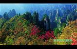 長(zhǎng)沙高速往返張家界國家森林公園,寶峰湖/黃龍洞三日游