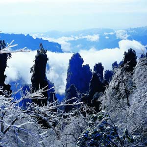 LD線：張家界、天子山、楊家界、猛洞河漂流純玩四日游