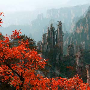 休閑自駕E線：張家界、袁家界、天子山、寶峰湖、鳳凰古城、沱江泛舟四晚五日游